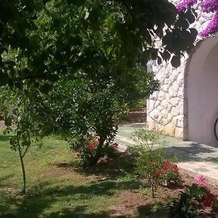 Neda