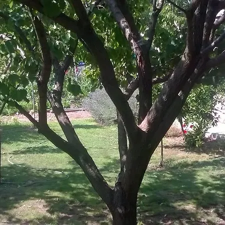 Neda Pensjonat Drage