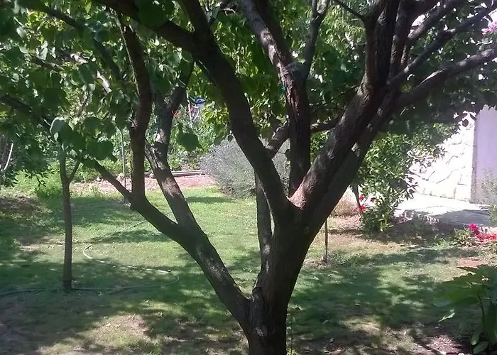 Neda Gostinjska kuća Drage